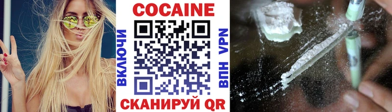 COCAIN Fish Scale  наркошоп  Салехард 