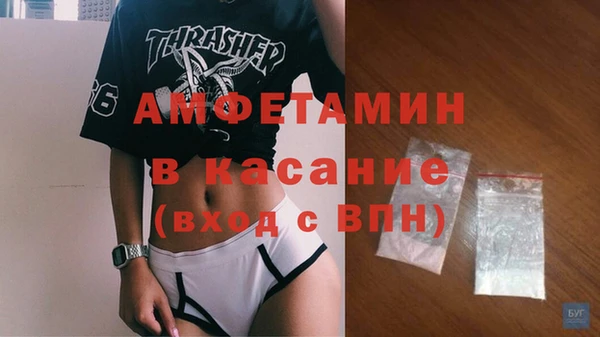 прущие грибы Алексин