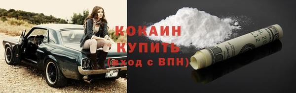 ECSTASY Алзамай