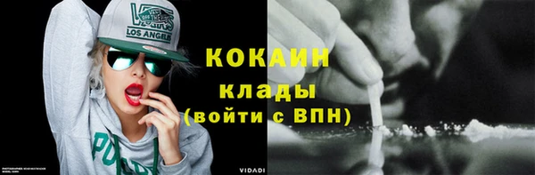 прущие грибы Алексин