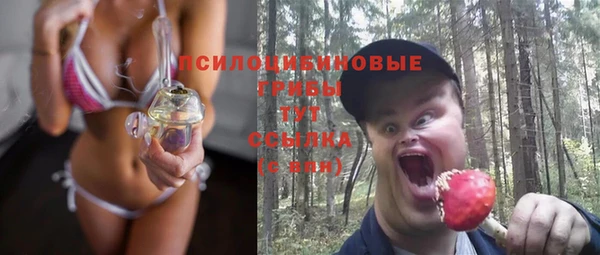 прущие грибы Алексин
