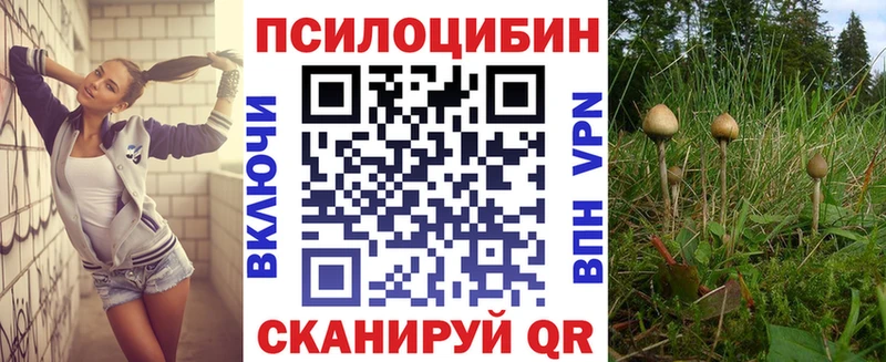 KRAKEN вход  Салехард  Псилоцибиновые грибы Psilocybe 